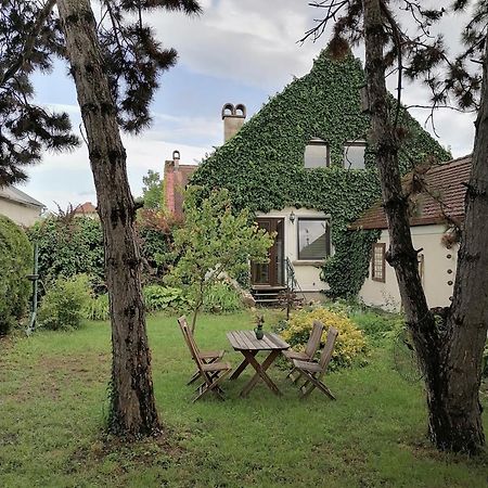 Gartenapartment Storchenblick ويدن ام سي المظهر الخارجي الصورة