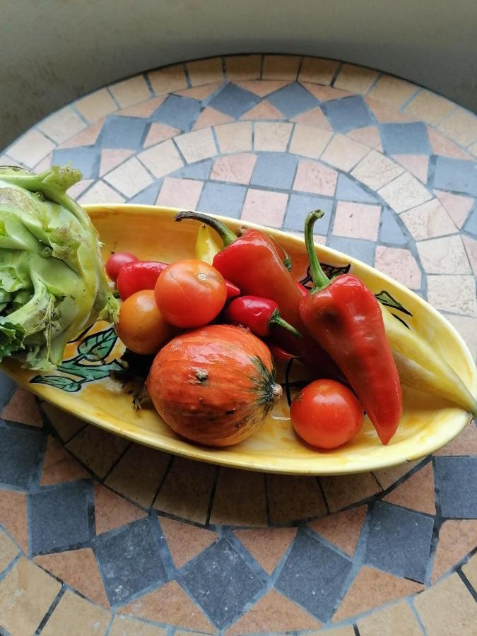 Gartenapartment Storchenblick ويدن ام سي المظهر الخارجي الصورة