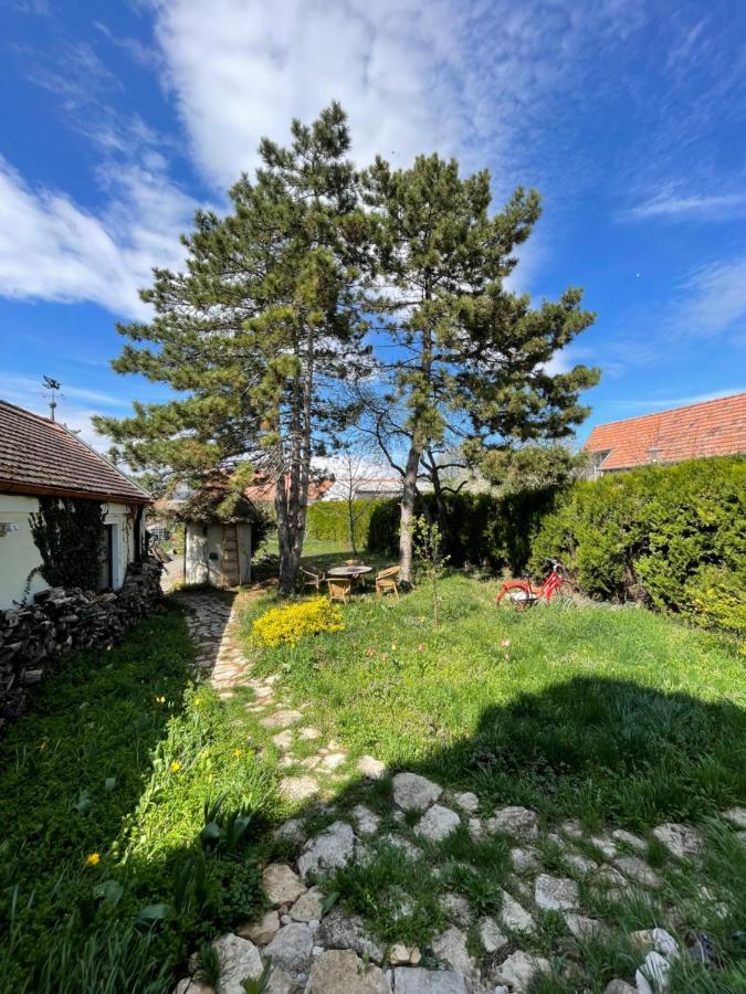 Gartenapartment Storchenblick ويدن ام سي المظهر الخارجي الصورة